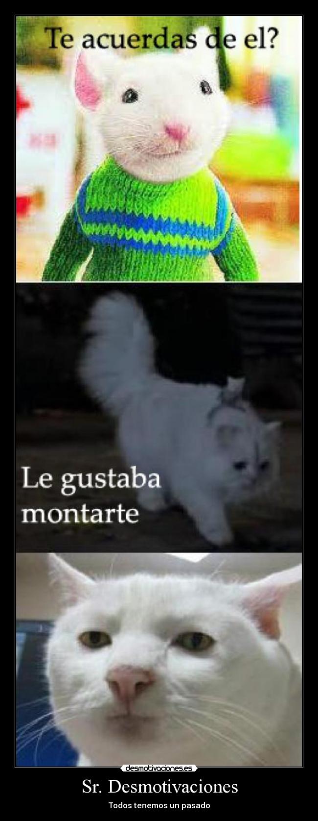 Sr. Desmotivaciones -