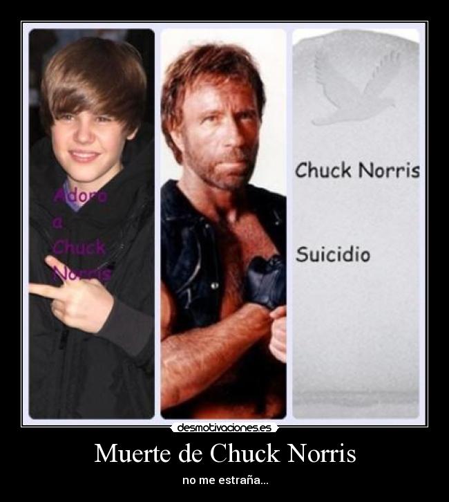 carteles muerte chuck norris muerto por culpa justin bieber desmotivaciones