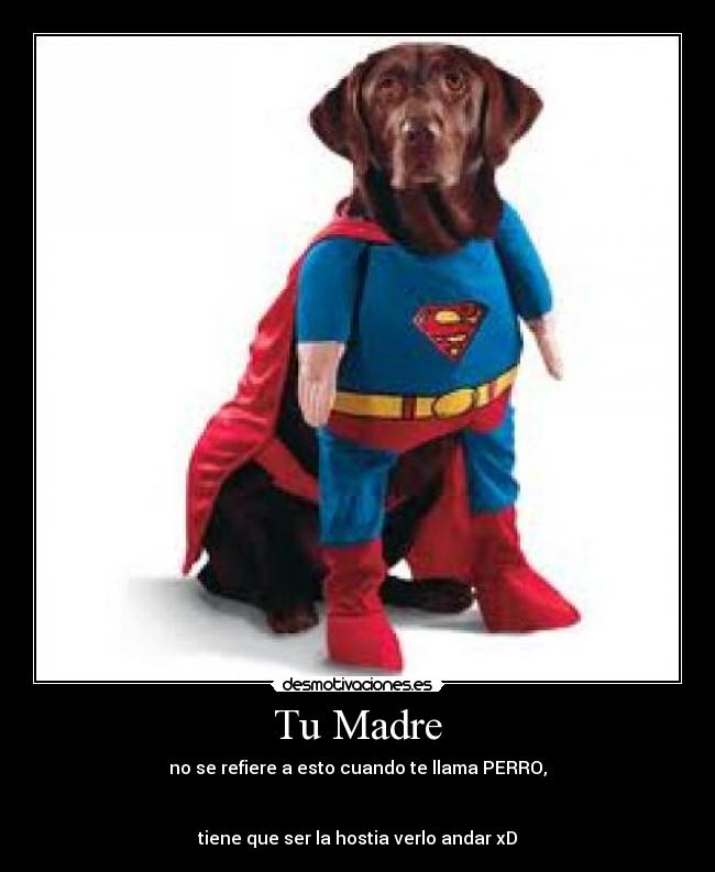 Tu Madre - no se refiere a esto cuando te llama PERRO,
tiene que ser la hostia verlo andar xD