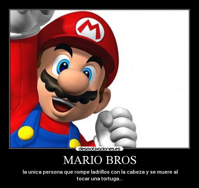 MARIO BROS -