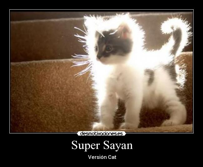 Super Sayan - Versión Cat
