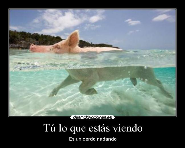 Tú lo que estás viendo - 