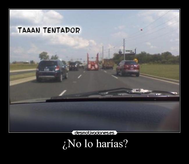 ¿No lo harías? -
