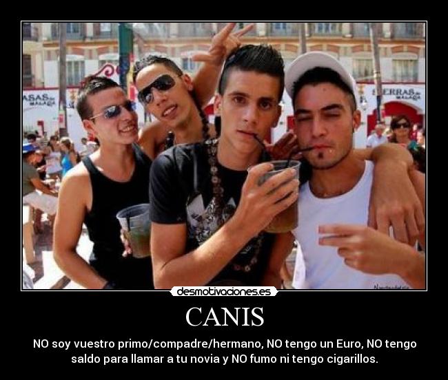 CANIS - 