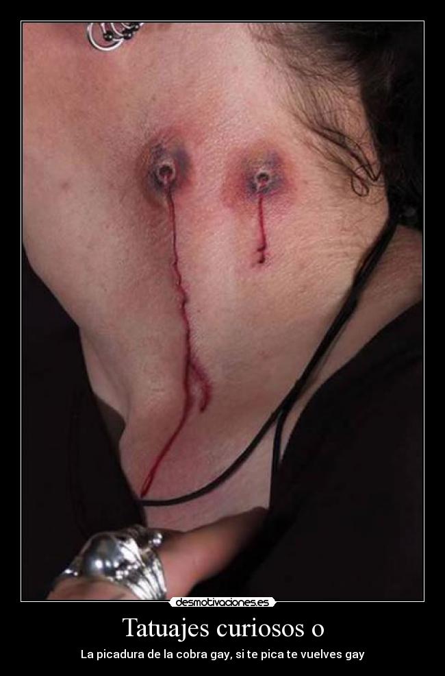 Tatuajes curiosos o - La picadura de la cobra gay, si te pica te vuelves gay