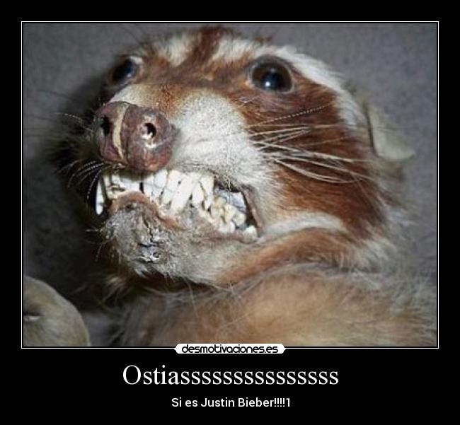 Ostiasssssssssssssss - Si es Justin Bieber!!!!1
