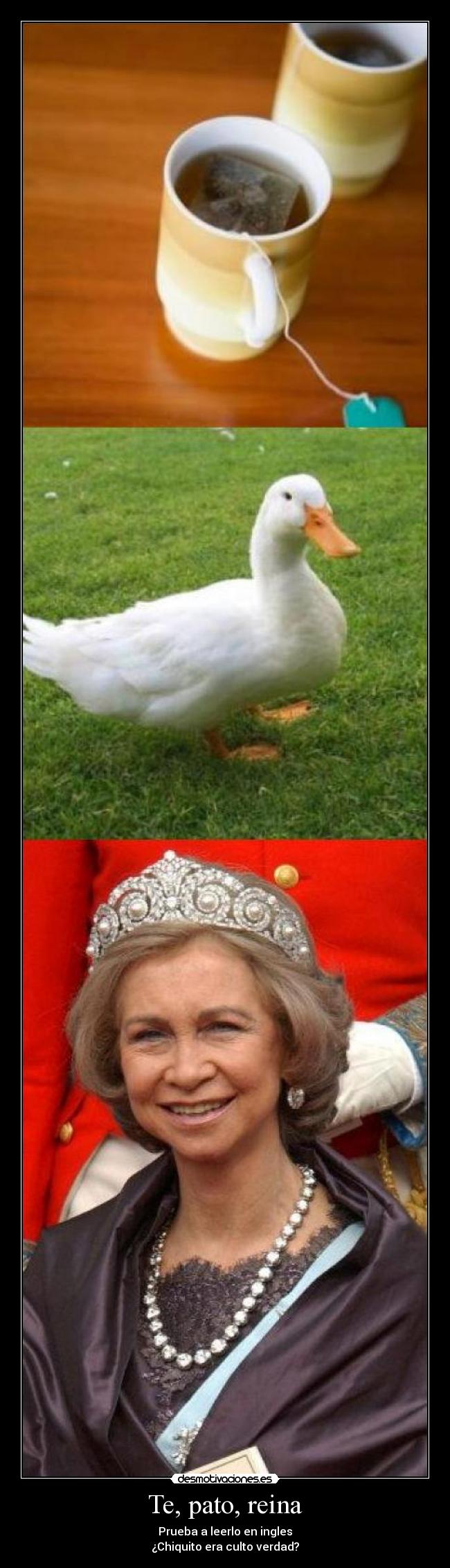 Te, pato, reina - Prueba a leerlo en ingles
¿Chiquito era culto verdad?