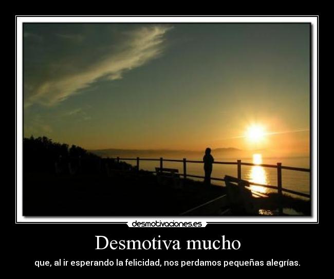 Desmotiva mucho - que, al ir esperando la felicidad, nos perdamos pequeñas alegrías.