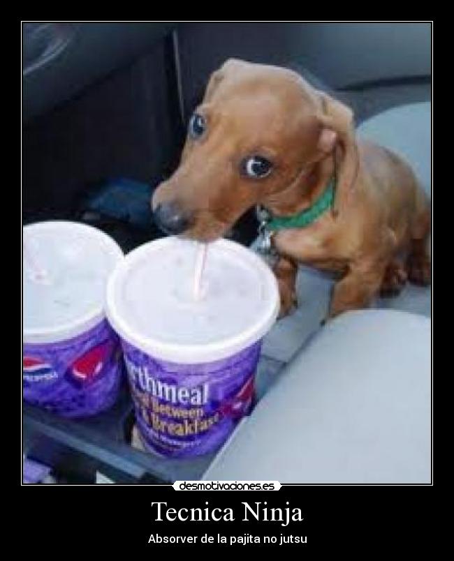 Tecnica Ninja - Absorver de la pajita no jutsu