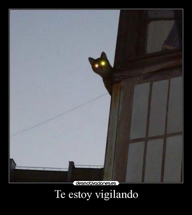 Te estoy vigilando -