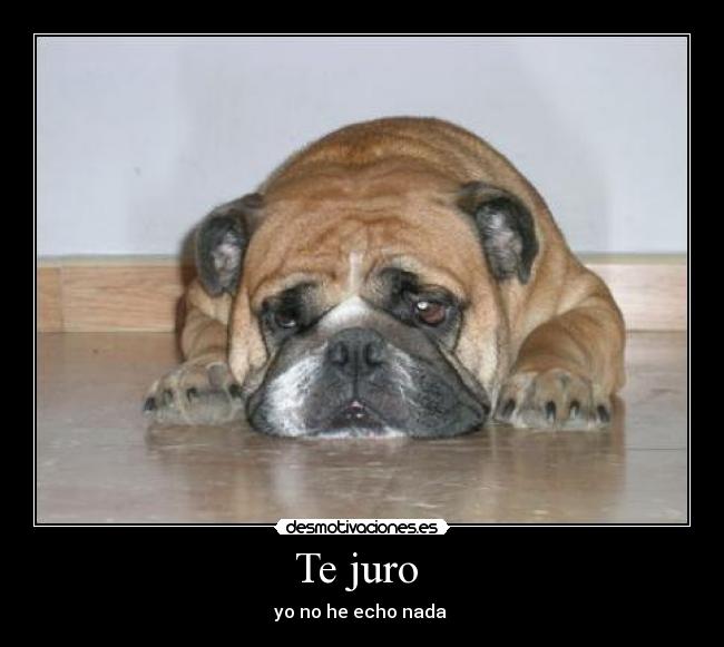 Te juro - yo no he echo nada