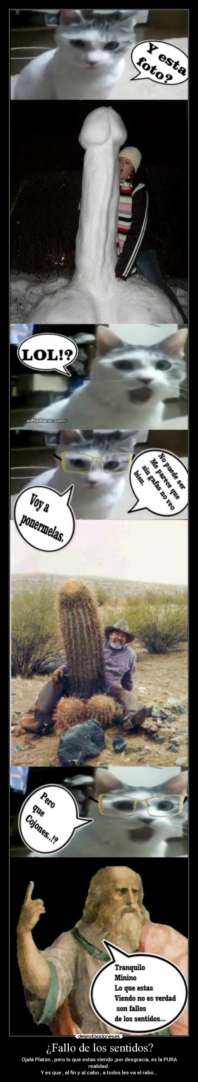 ¿Fallo de los sentidos? -