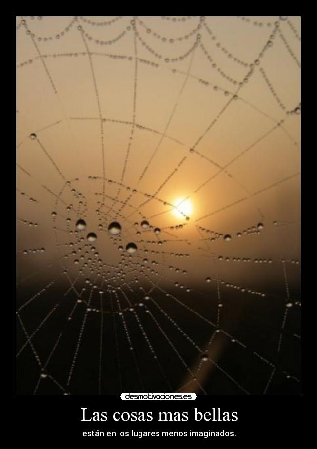 Las cosas mas bellas - están en los lugares menos imaginados.