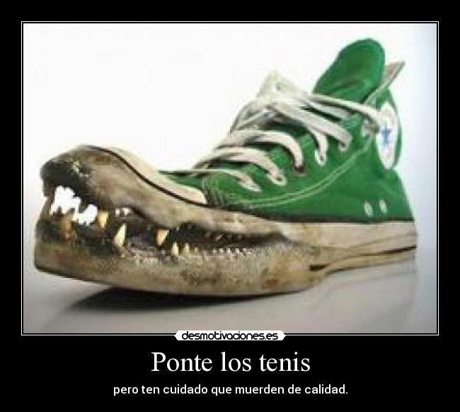 Ponte los tenis - pero ten cuidado que muerden de calidad.