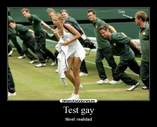 Test gay - 