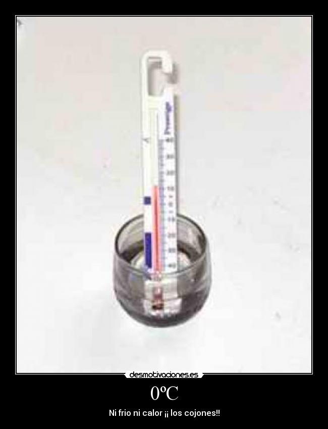 carteles puta madre desmotivaciones