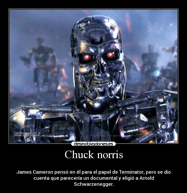 Chuck norris -
James Cameron pensó en él para el papel de Terminator, pero se dio
cuenta que parecería un documental y eligió a Arnold
Schwarzenegger.