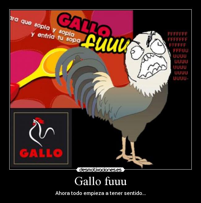 Gallo fuuu - Ahora todo empieza a tener sentido...