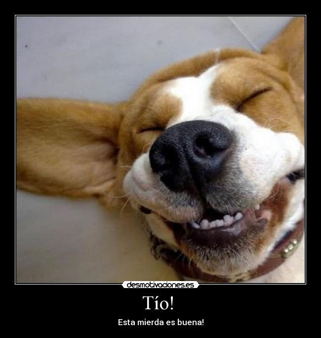 Tío!  - Esta mierda es buena!