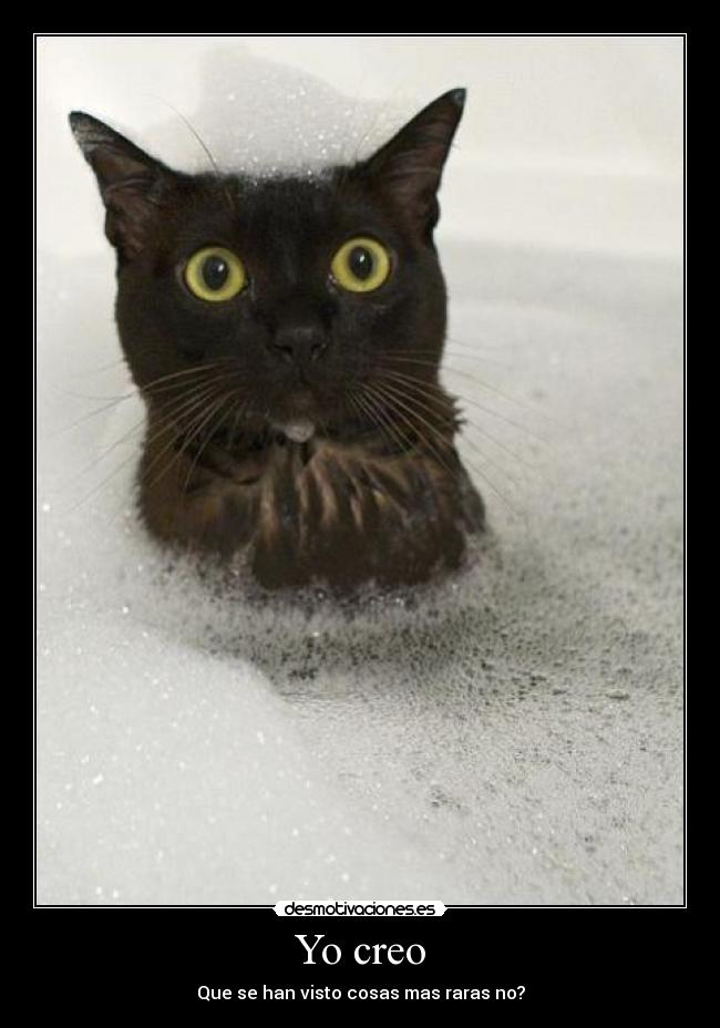 Yo creo - Que se han visto cosas mas raras no?