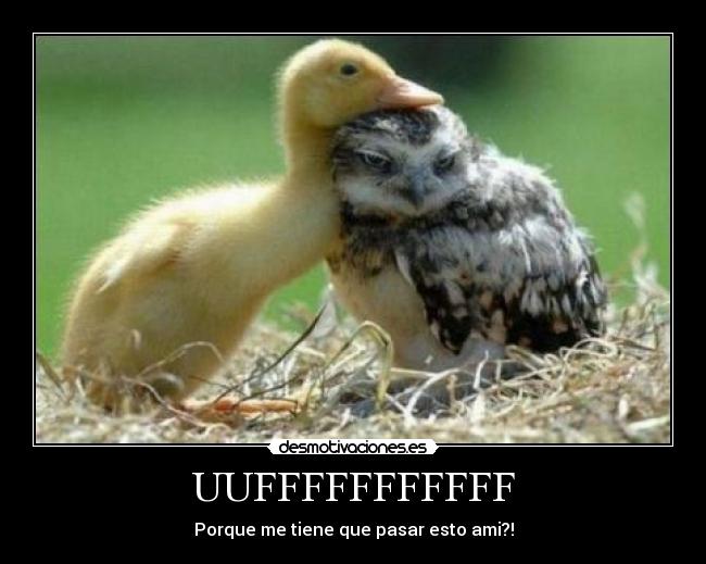 UUFFFFFFFFFFF - Porque me tiene que pasar esto ami?!