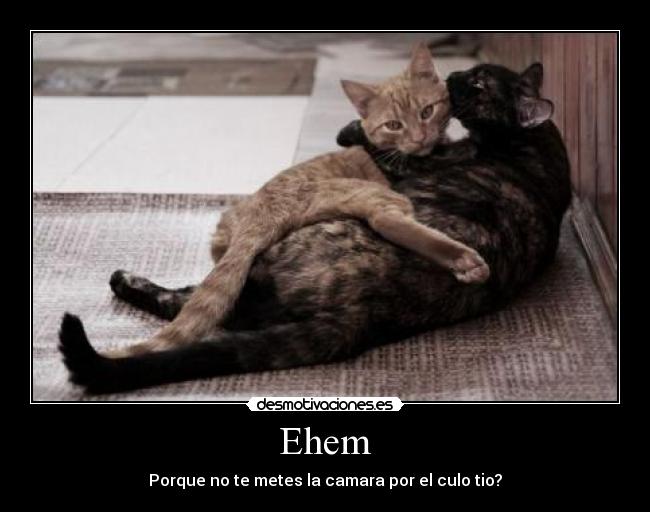 Ehem - Porque no te metes la camara por el culo tio?
