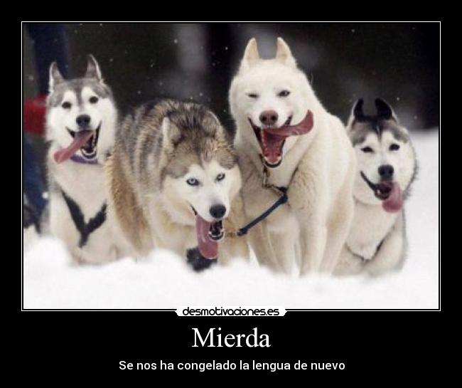 Mierda - Se nos ha congelado la lengua de nuevo