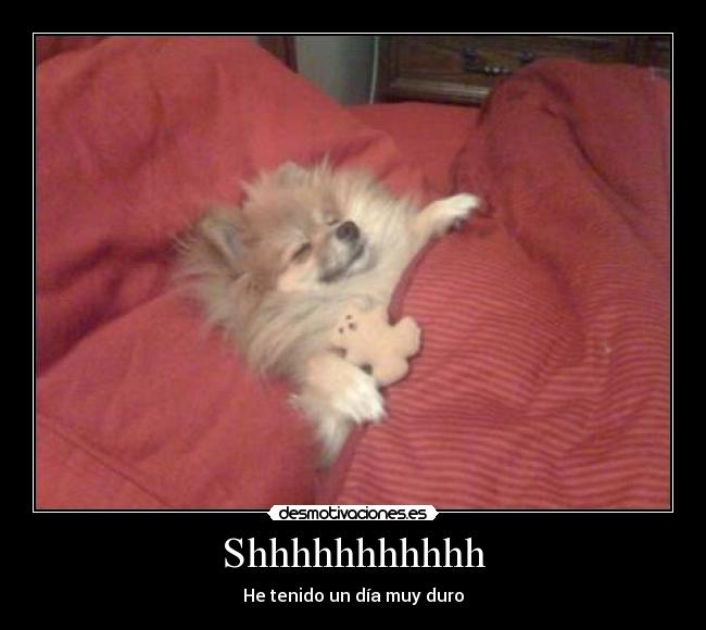 Shhhhhhhhhhh - He tenido un día muy duro