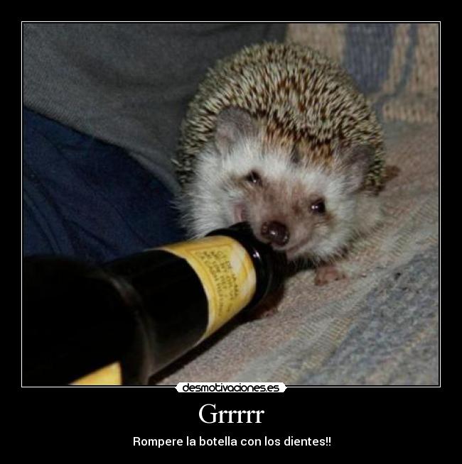 Grrrrr - Rompere la botella con los dientes!!