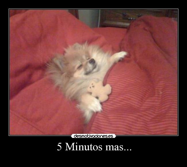 5 Minutos mas... - 