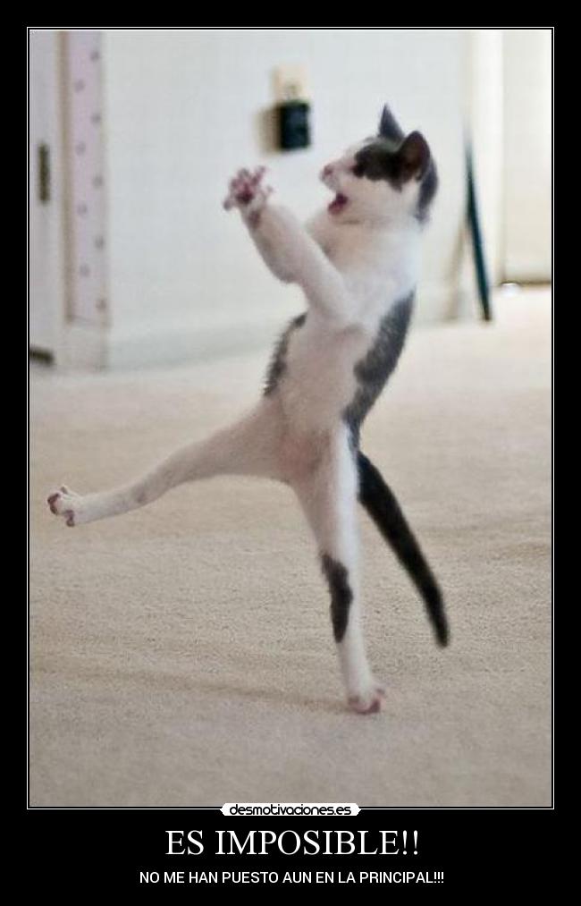 ES IMPOSIBLE!! - NO ME HAN PUESTO AUN EN LA PRINCIPAL!!!
