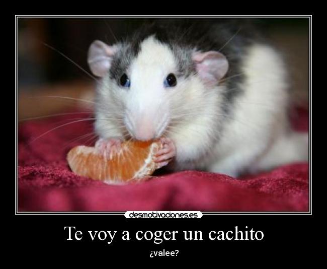 Te voy a coger un cachito - ¿valee?