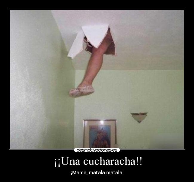 ¡¡Una cucharacha!! - 