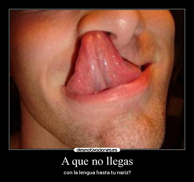 A que no llegas - con la lengua hasta tu nariz?