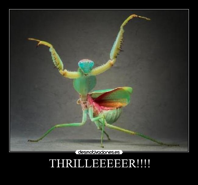 THRILLEEEEER!!!! -
