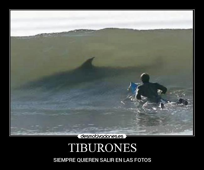 TIBURONES -