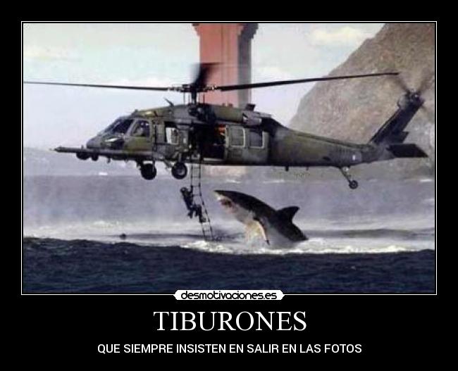 TIBURONES - 