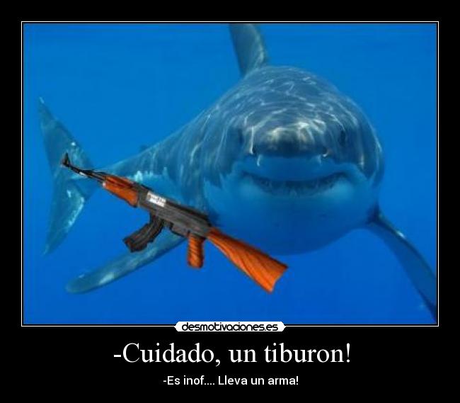 -Cuidado, un tiburon! - 