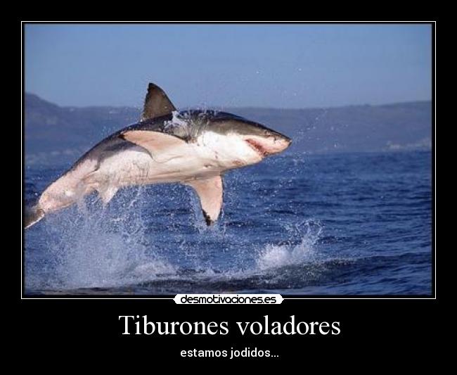 Tiburones voladores -