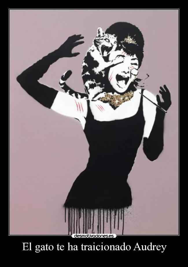 El gato te ha traicionado Audrey - 