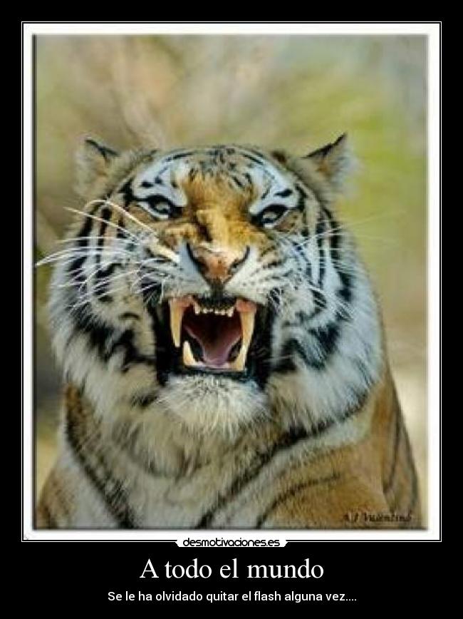 A todo el mundo - Se le ha olvidado quitar el flash alguna vez....