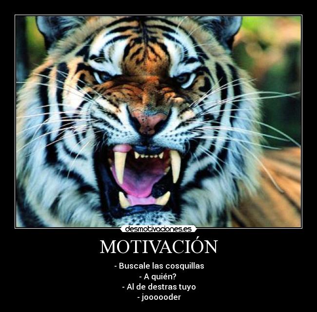 MOTIVACIÓN - - Buscale las cosquillas
- A quién? 
- Al de destras tuyo
- joooooder