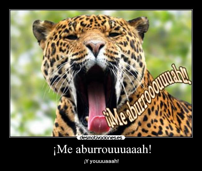 ¡Me aburrouuuaaah! - ¡Y youuuaaah!