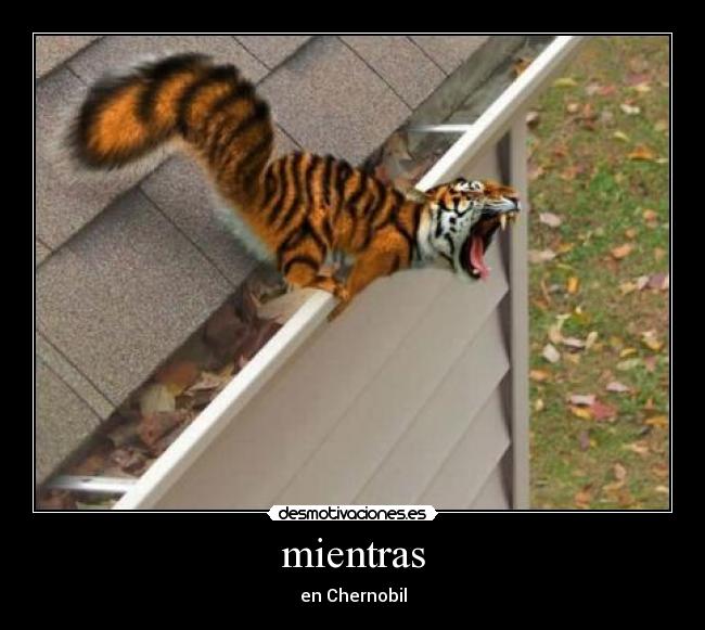 mientras - 