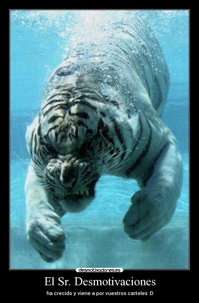 El Sr. Desmotivaciones -