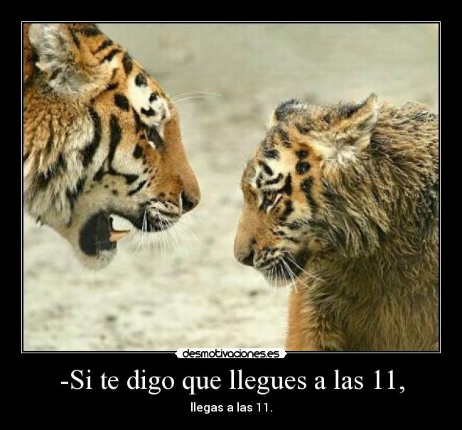 -Si te digo que llegues a las 11, - 