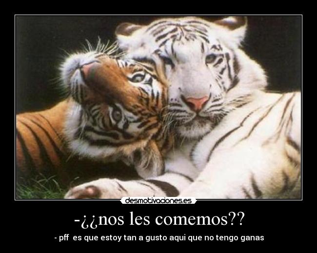 -¿¿nos les comemos?? - - pff es que estoy tan a gusto aqui que no tengo ganas