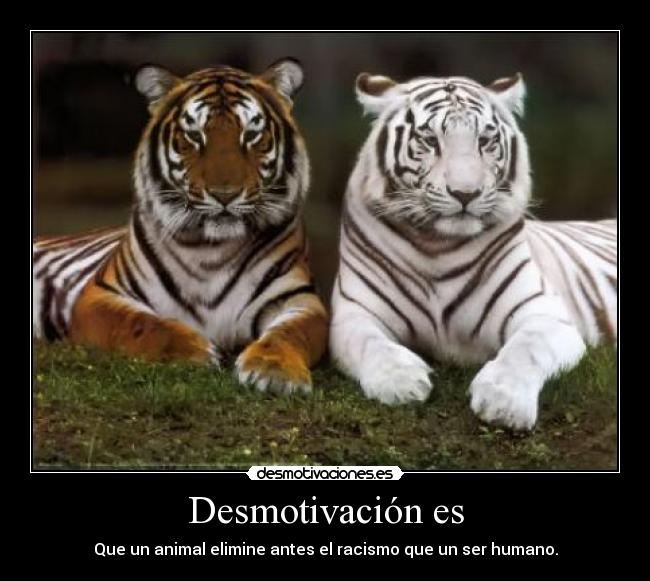 Desmotivación es - Que un animal elimine antes el racismo que un ser humano.