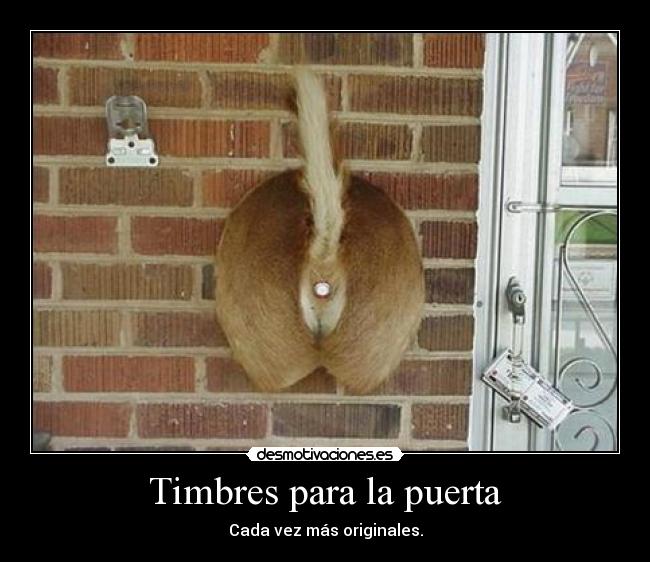 Timbres para la puerta - 