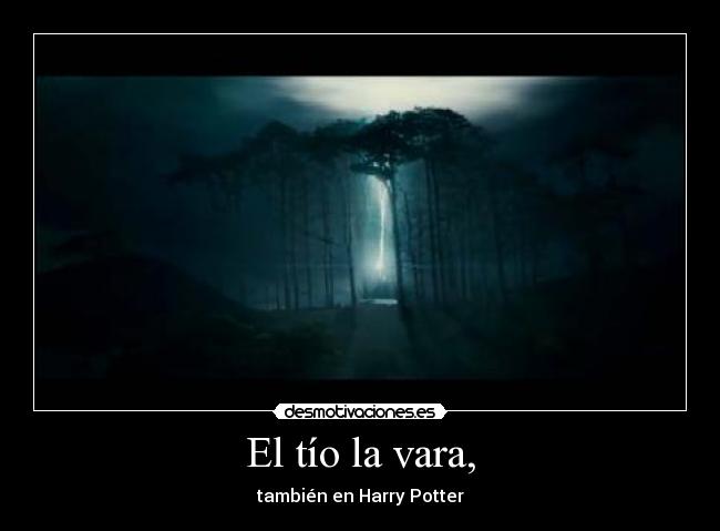 carteles tio vara harry potter desmotivaciones